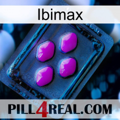 Ibimax 04